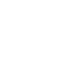 Cognition AI